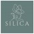 https://www.hravailable.com/company/silica-salon